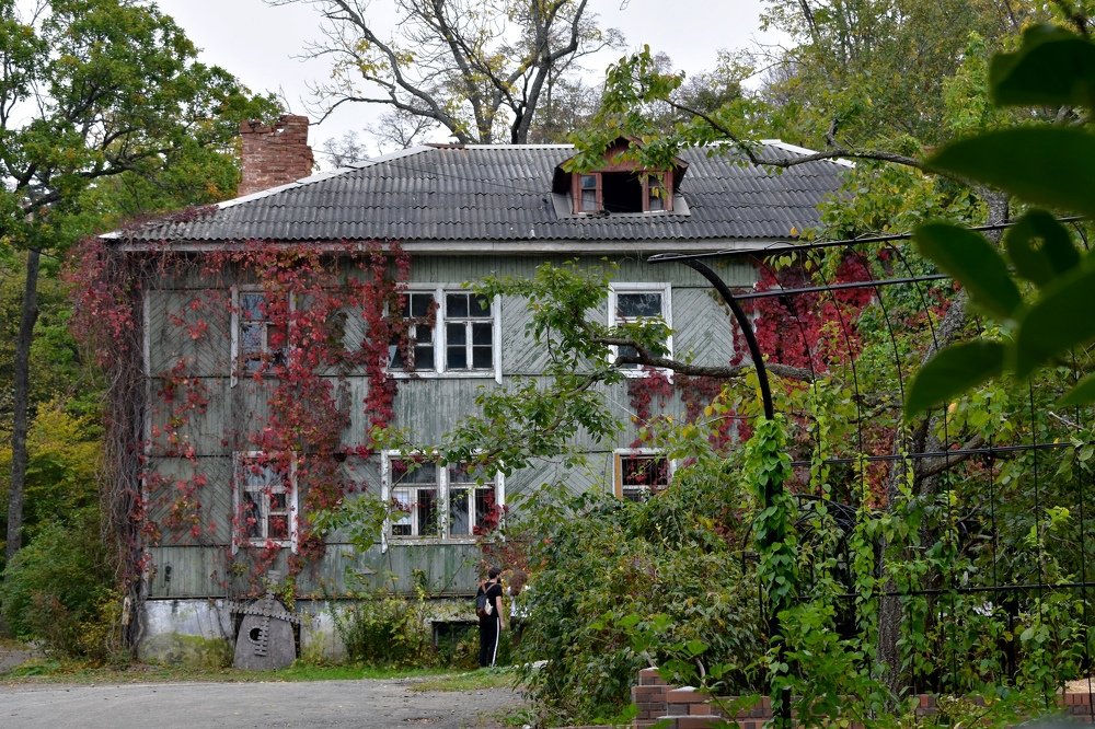 Photograph by Светлана Титова