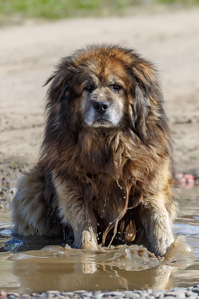 жаркий день