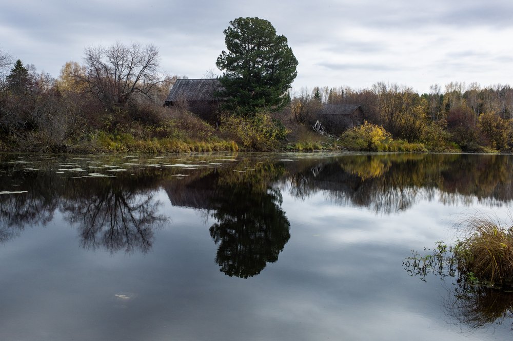 Photograph by Михаил Дронов