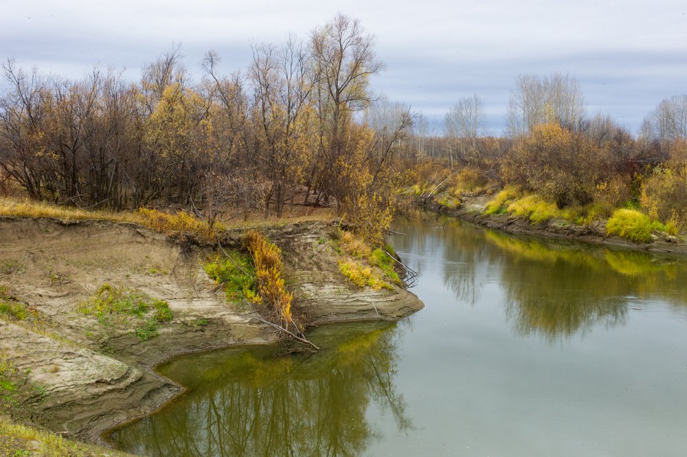 Photograph by Михаил Дронов