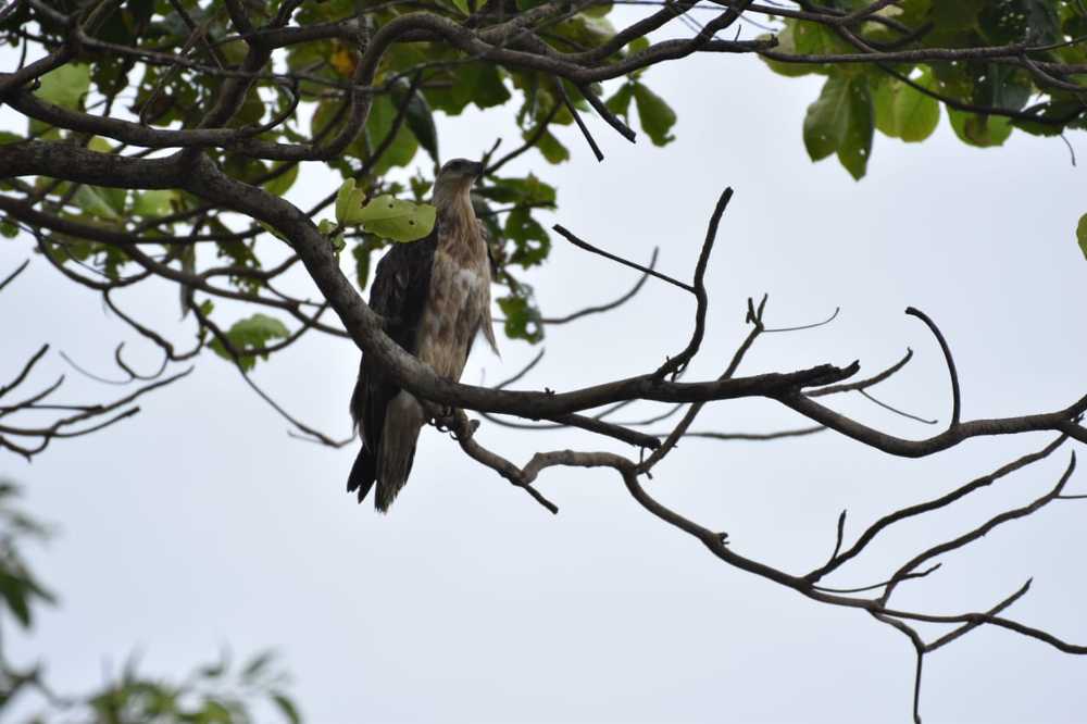 Photograph by gana sounder