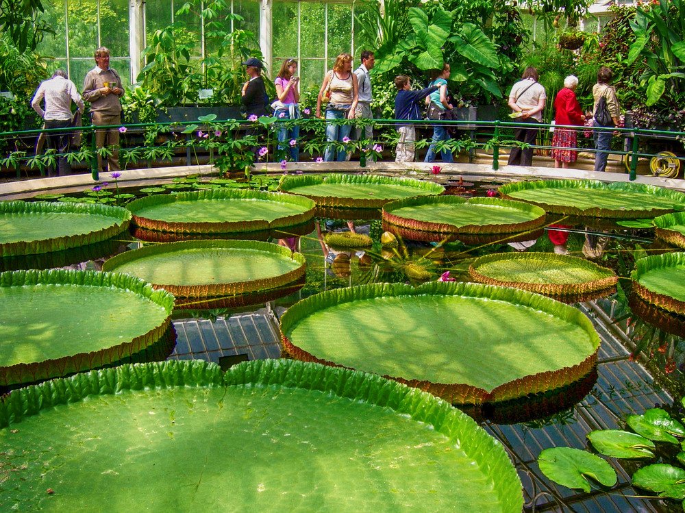 Photograph by Владимир Гречанинов