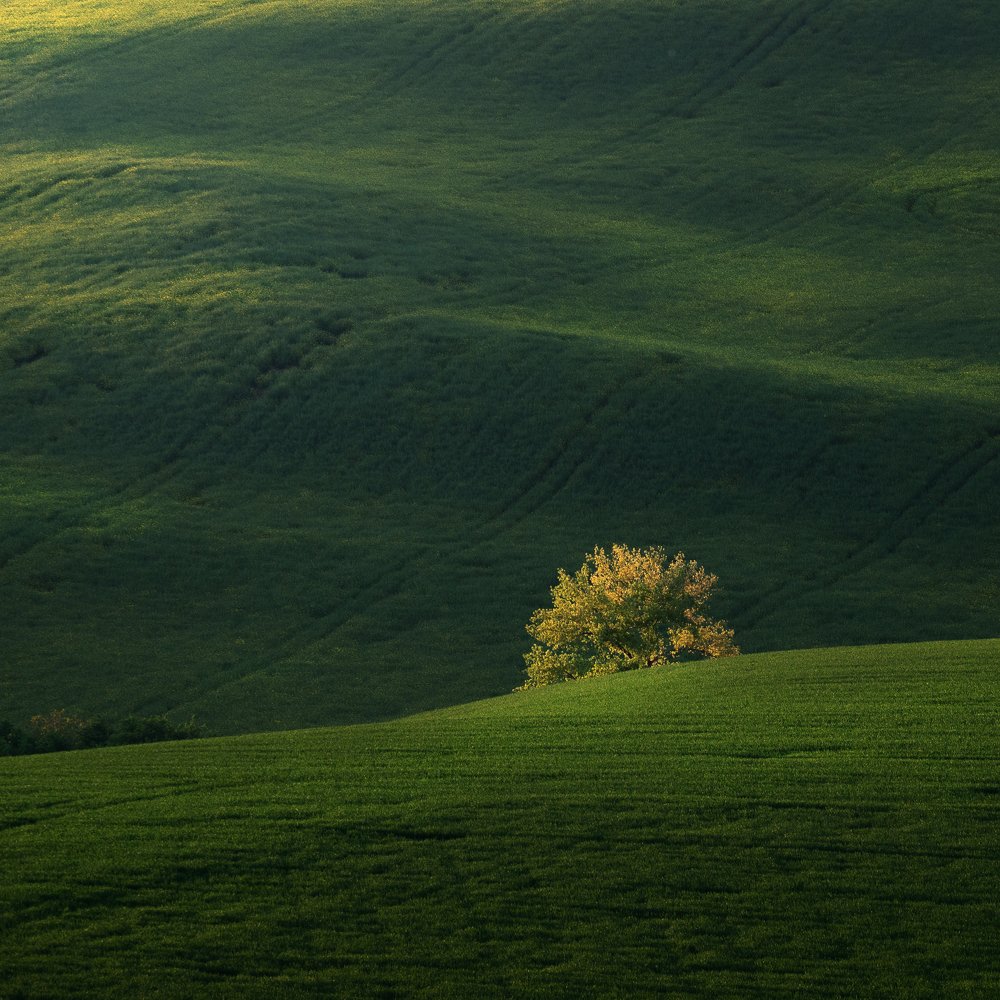 Photograph by Ladislav Szabó