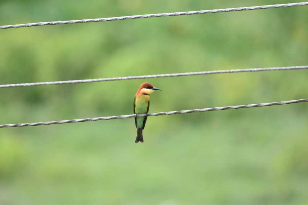 Photograph by gana sounder