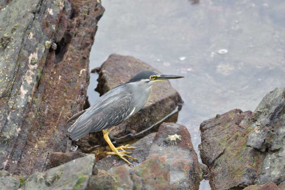 Photograph by gana sounder