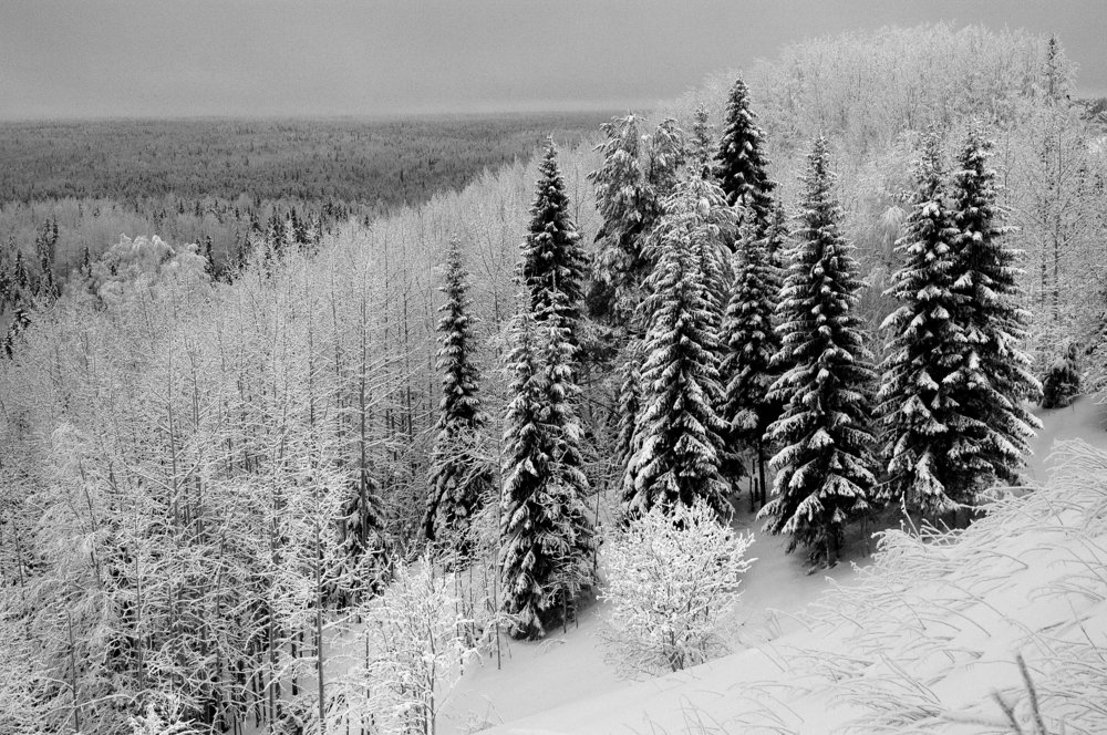 Фотография автора Александр Журавлев
