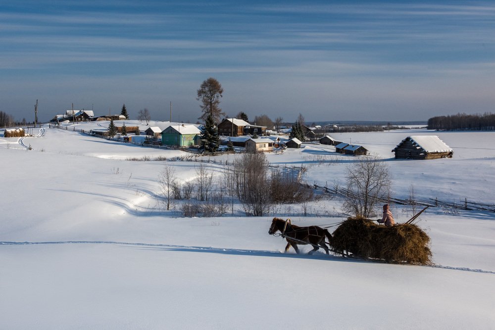 Фотография автора Александр Журавлев