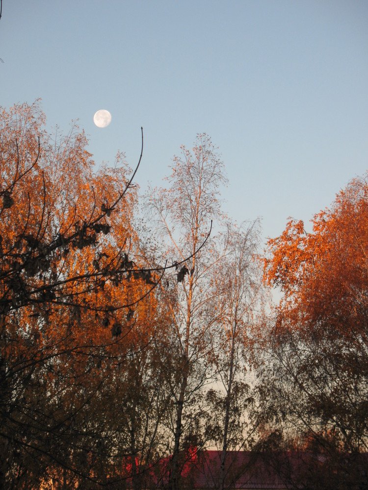 Фотография автора Нина Калинина