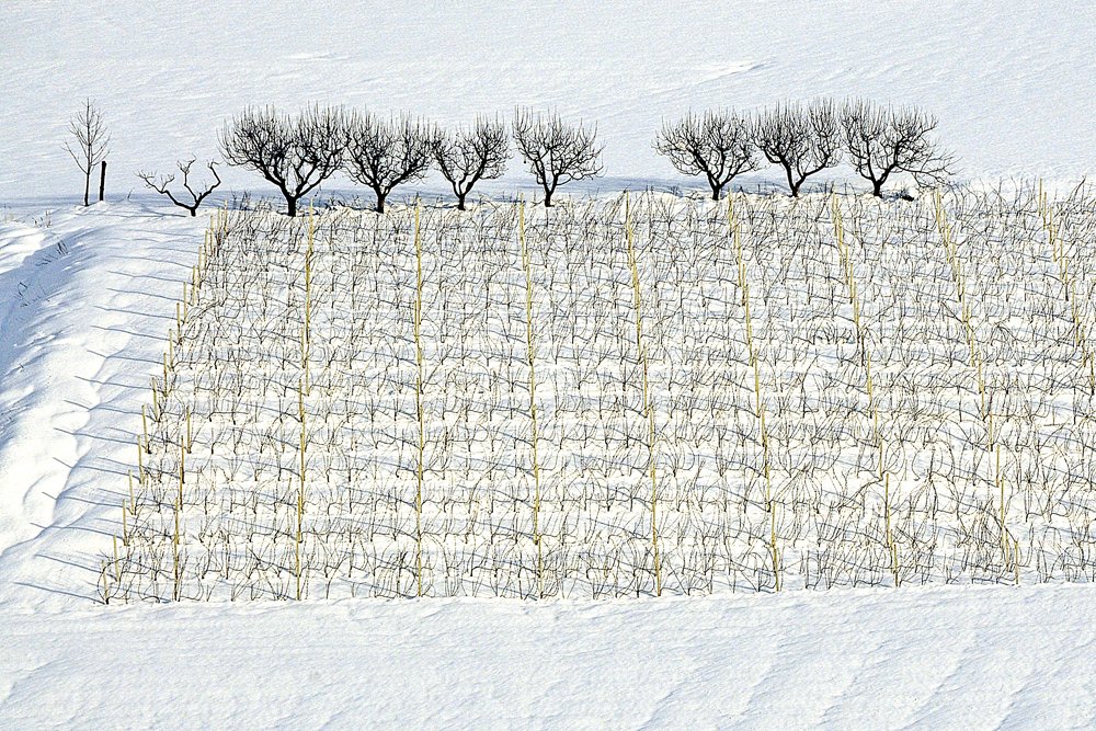 colline invernali