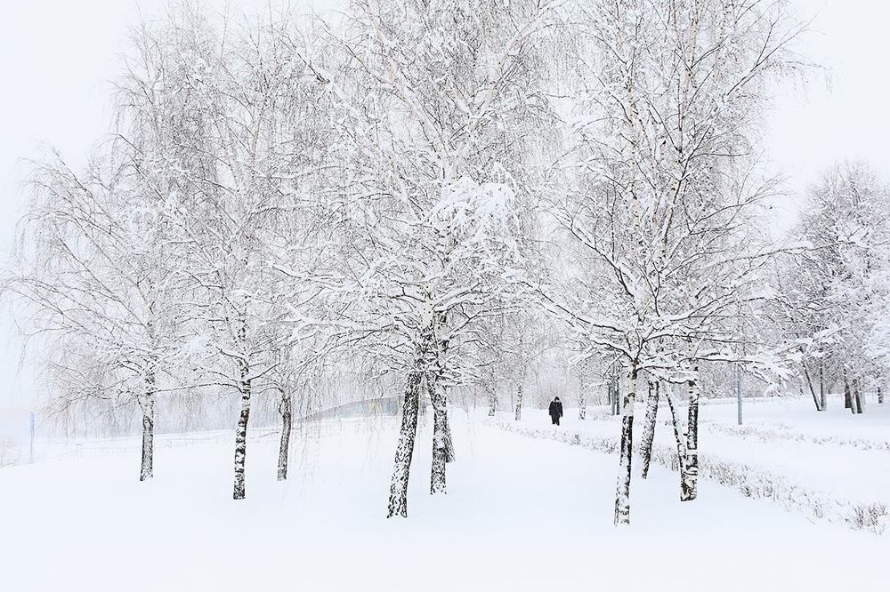 Фотография автора Елена Лаврова