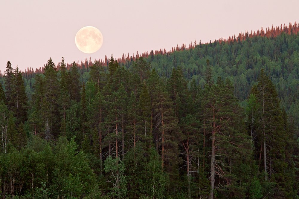 Фотография автора Мария Хамаганова