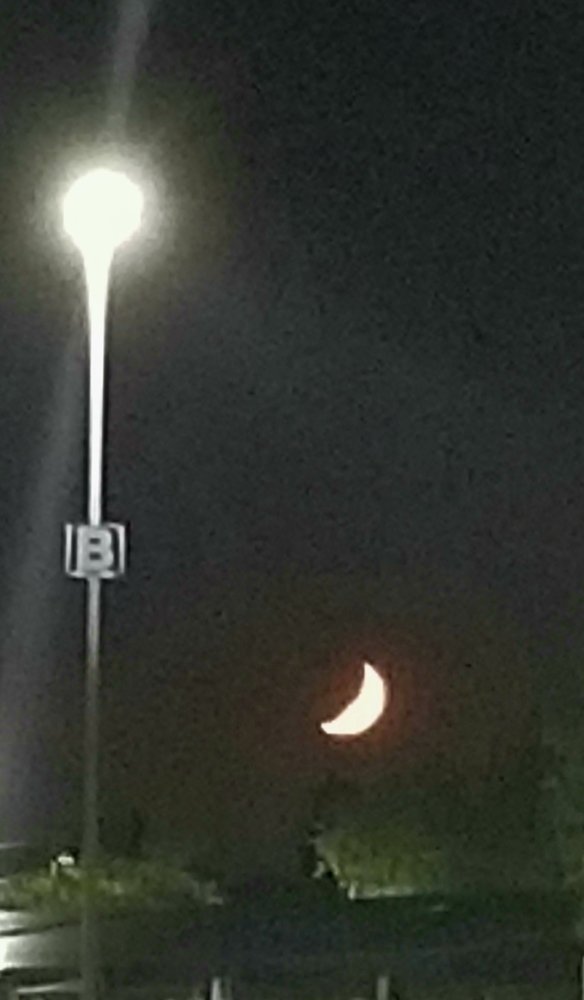 Photograph by Michelle Vaughn