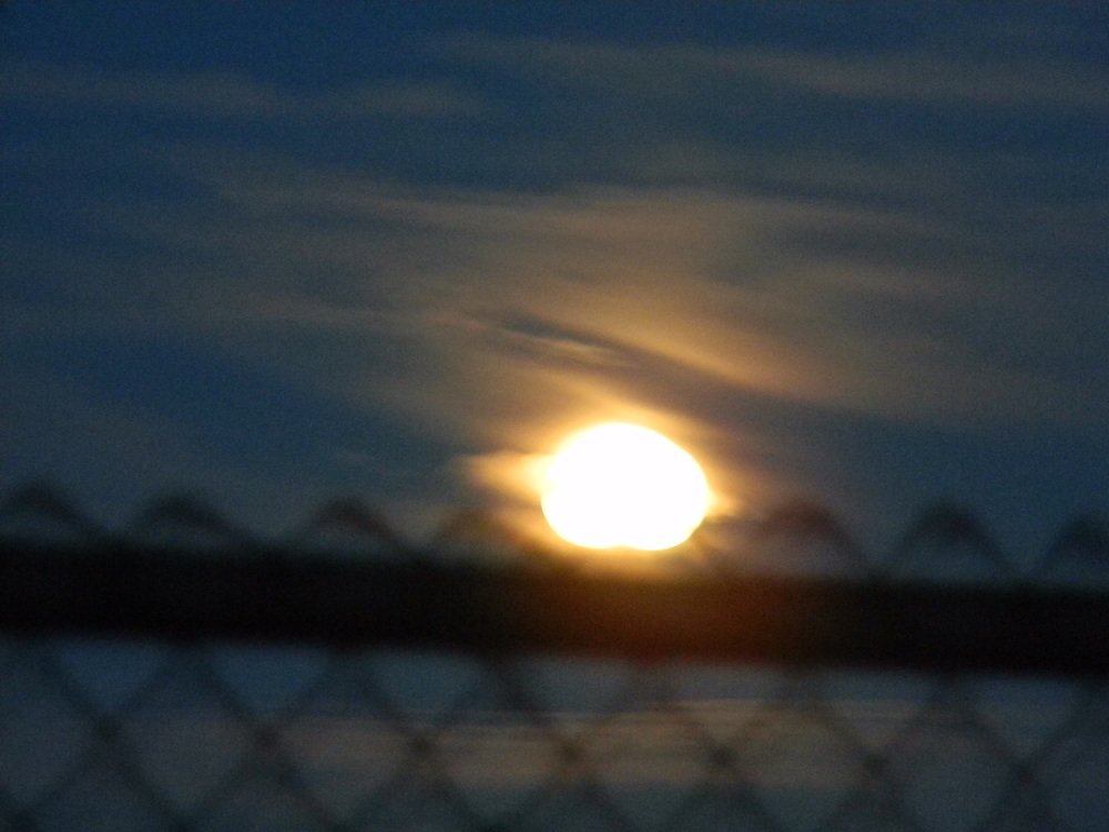 Photograph by Michelle Vaughn