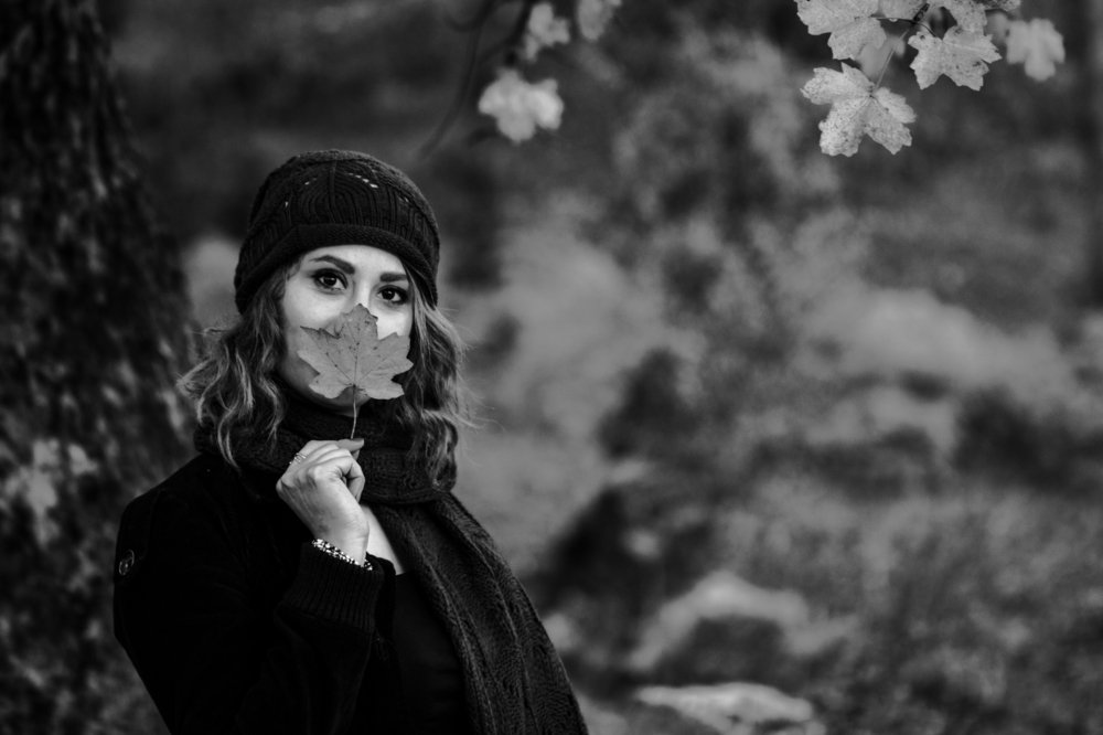 Photograph by Mohammad Nazari