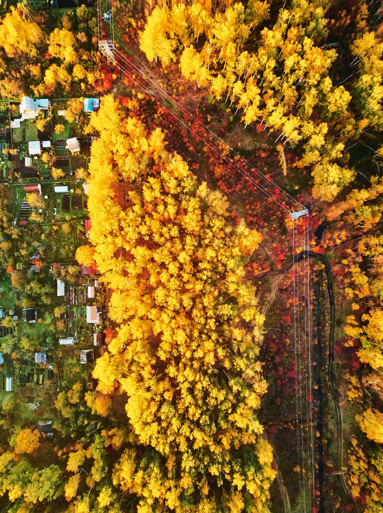 Photograph by Ilya Fedulov