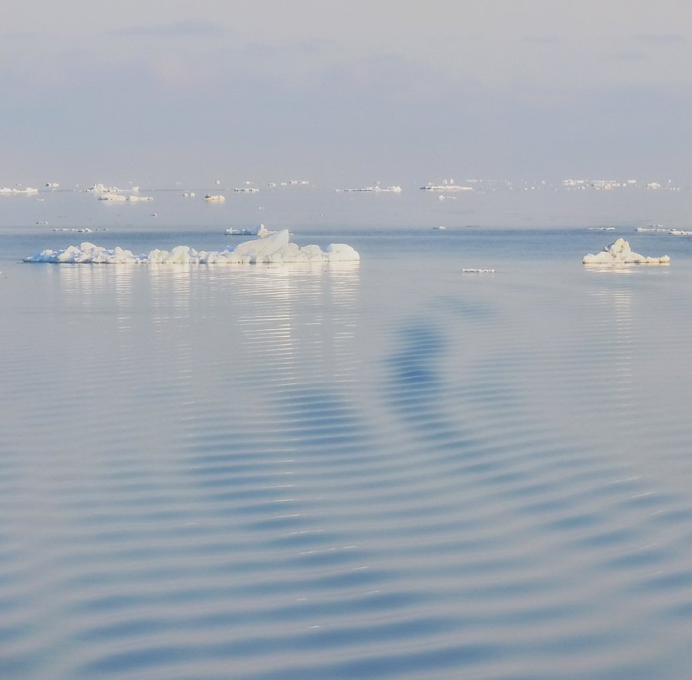 Photograph by Евгений Паршуков