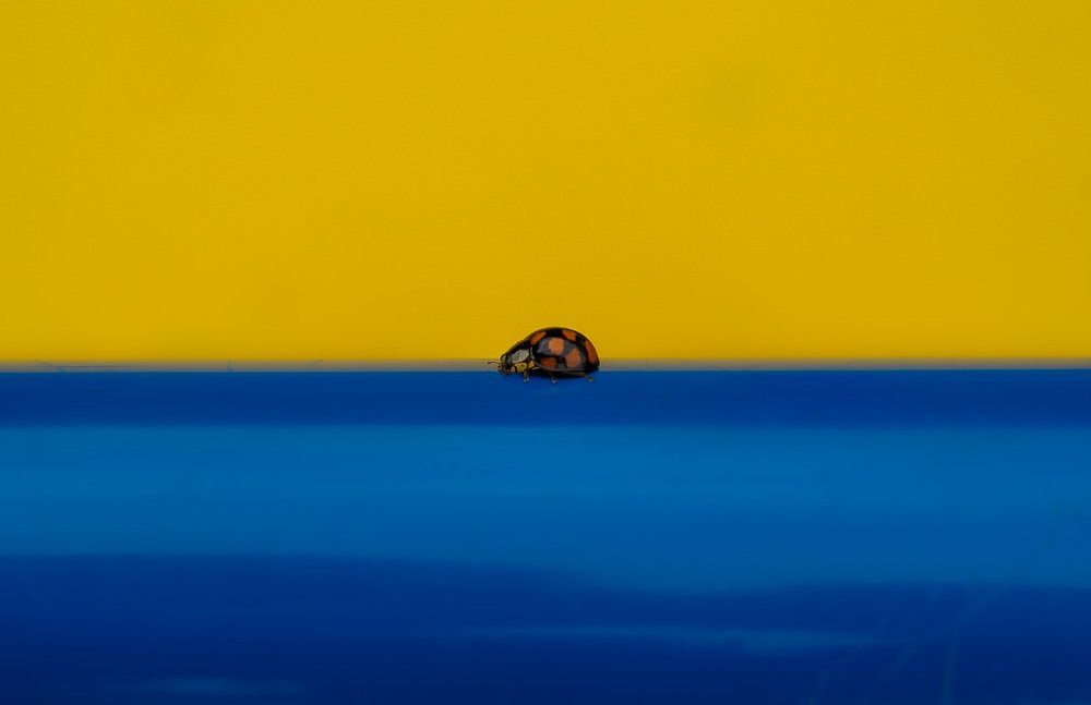 Photograph by Рымаров Александр