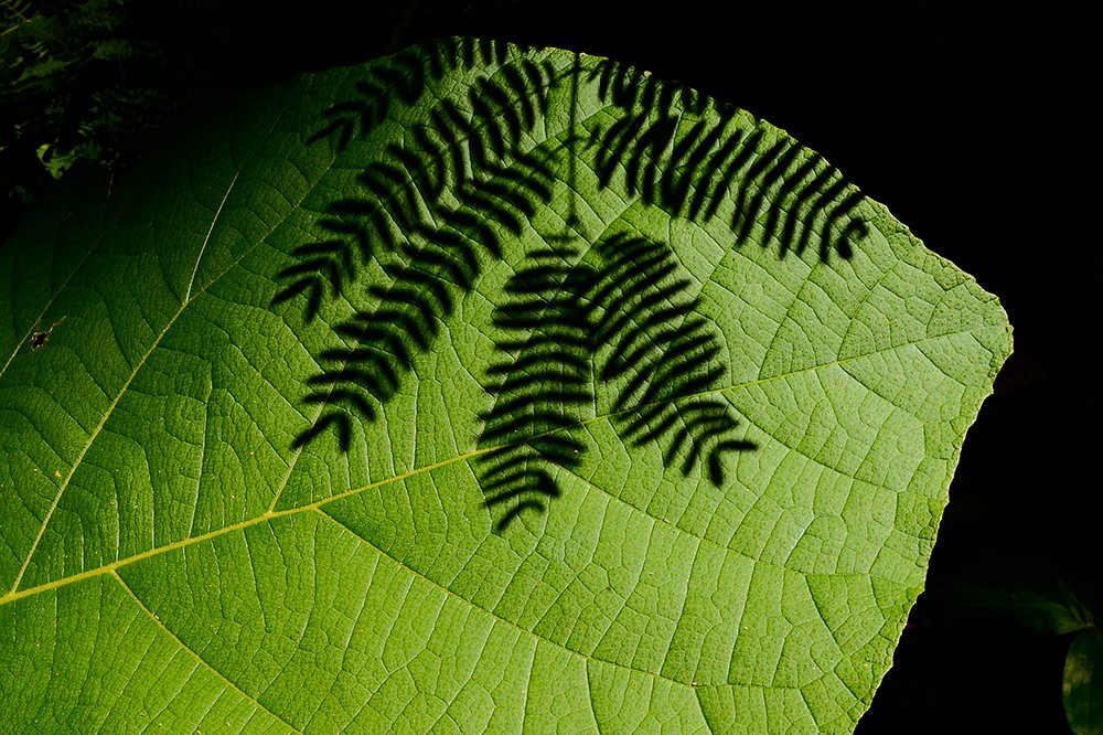 Photograph by Lê Nguyễn Vũ