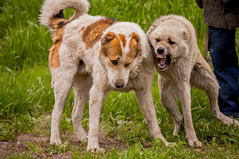 Photograph by Лариса Максименко