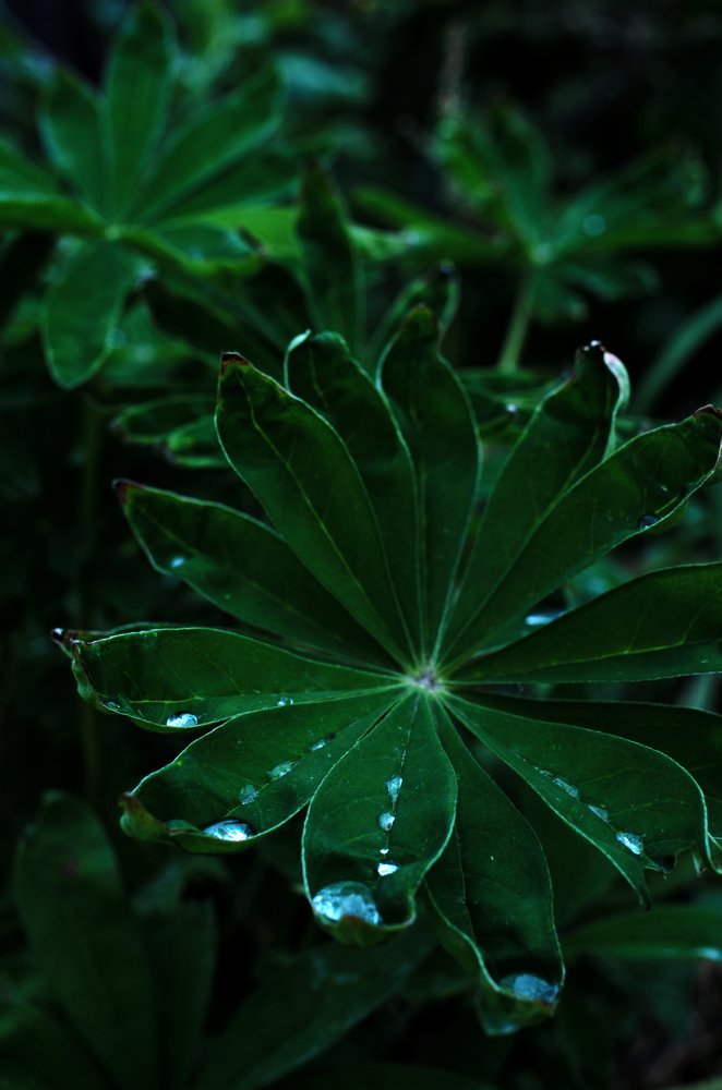 Photograph by Алина Талипова