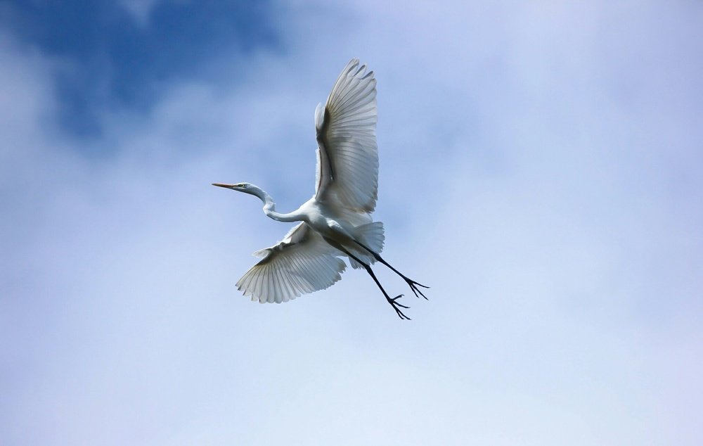 Photograph by prabhakar Gujjarappa