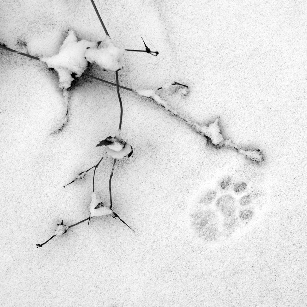 Photograph by Alexander Svetlov