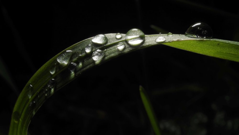 Photograph by Alexander Svetlov