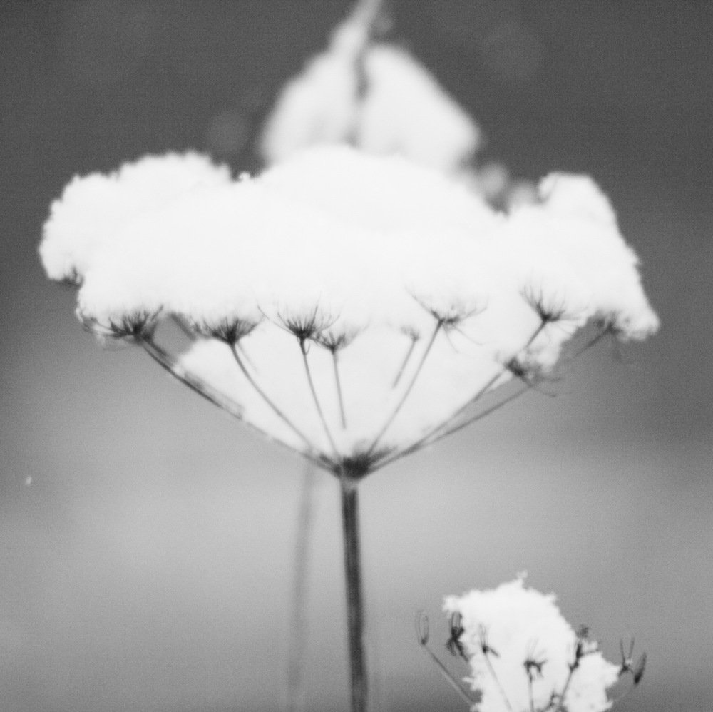 Photograph by Вадим Беляев