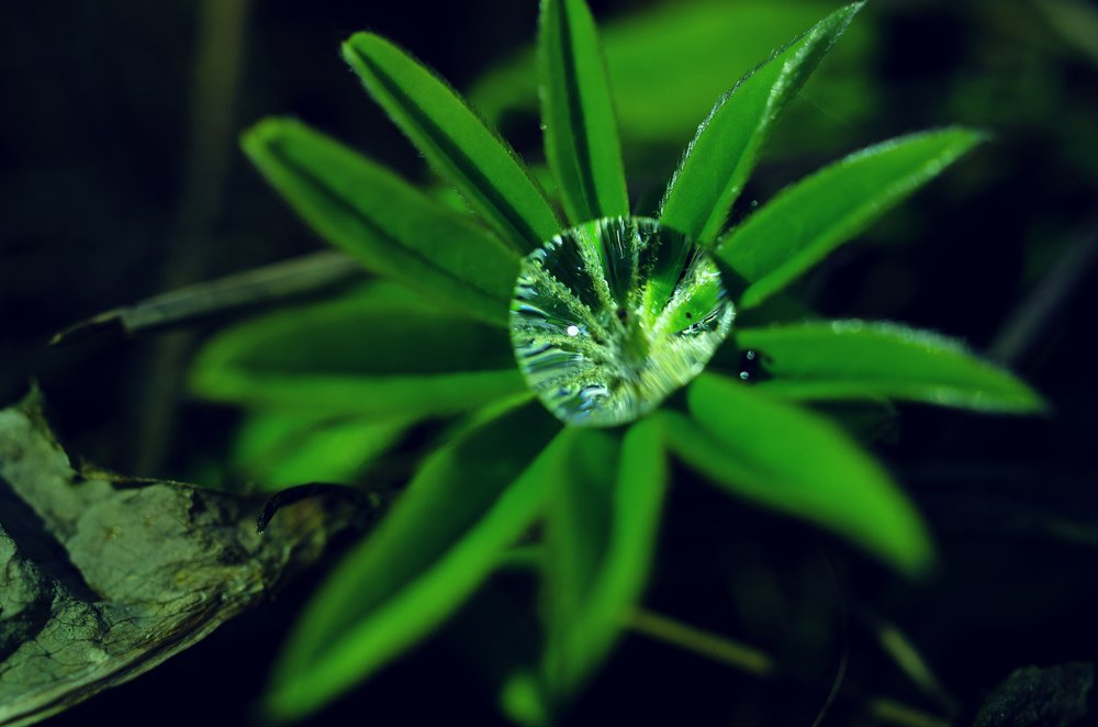 Photograph by Алина Талипова