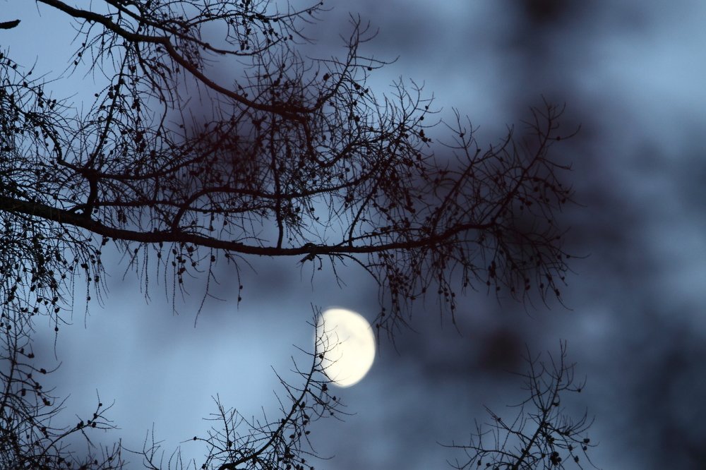 Photograph by Сергей Ножнин