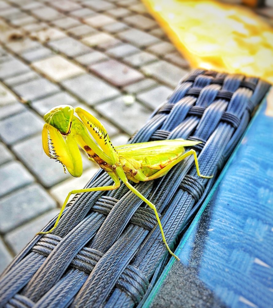 Photograph by Руслан Марченко