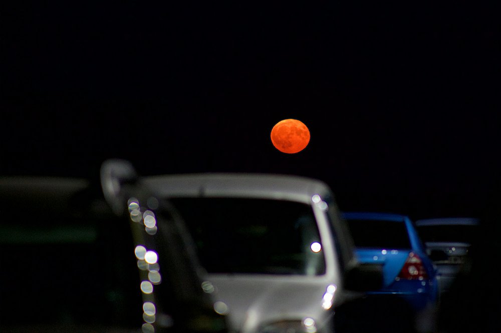 Photograph by Илья Ушак