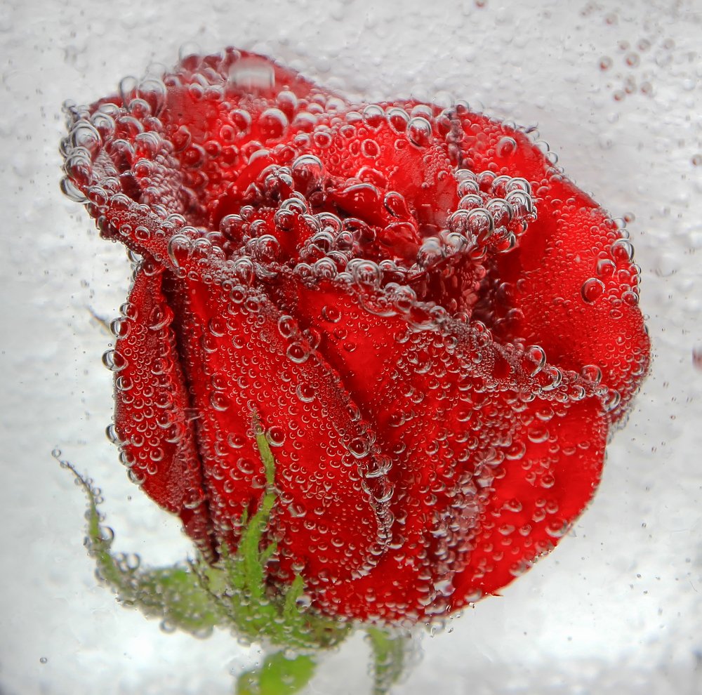 Photograph by Татьяна Феденкова