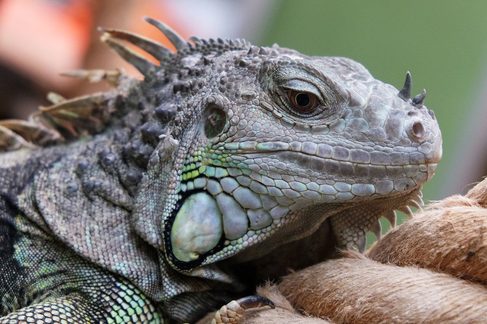 Photograph by Alimjanov Kakhramon