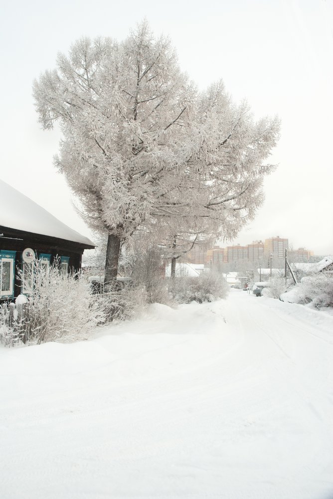 Photograph by Денис Кичев