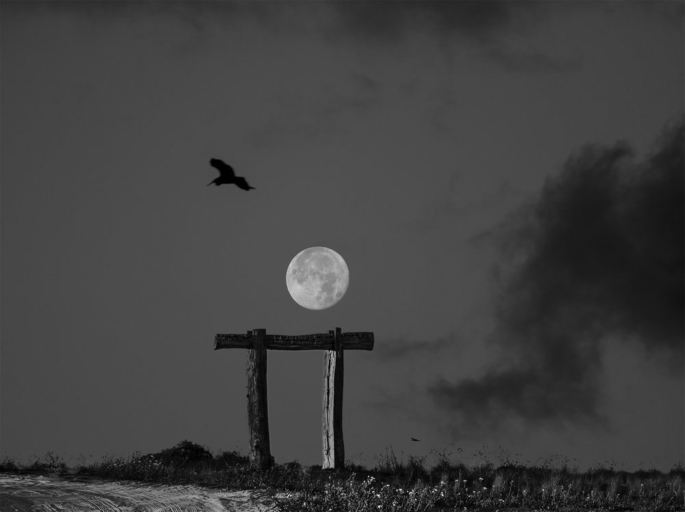 Photograph by Leonid Lan