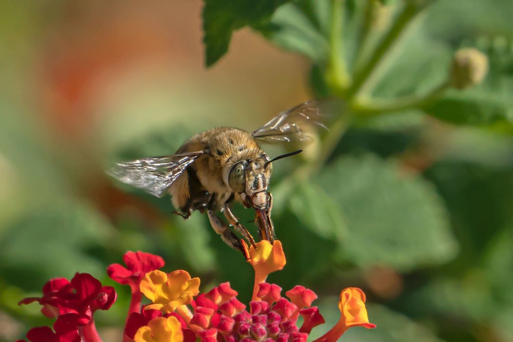 Photograph by Viktor Makarov