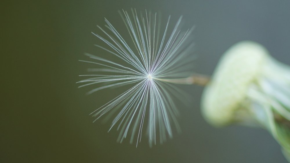 Photograph by Toomas Tõnisalu