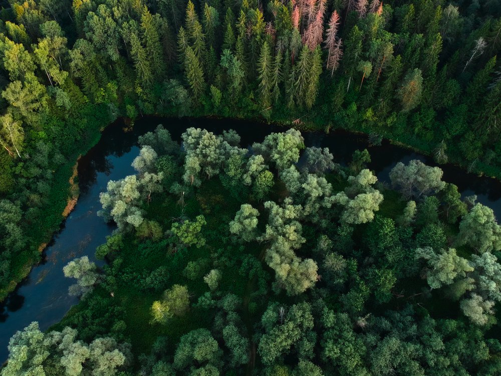 Photograph by Светлана Воскресенская