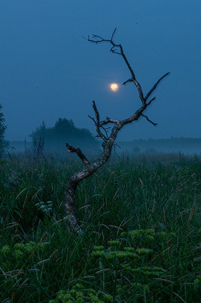 Photograph by 