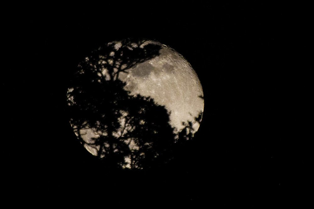 Photograph by Massimo Chiozzi