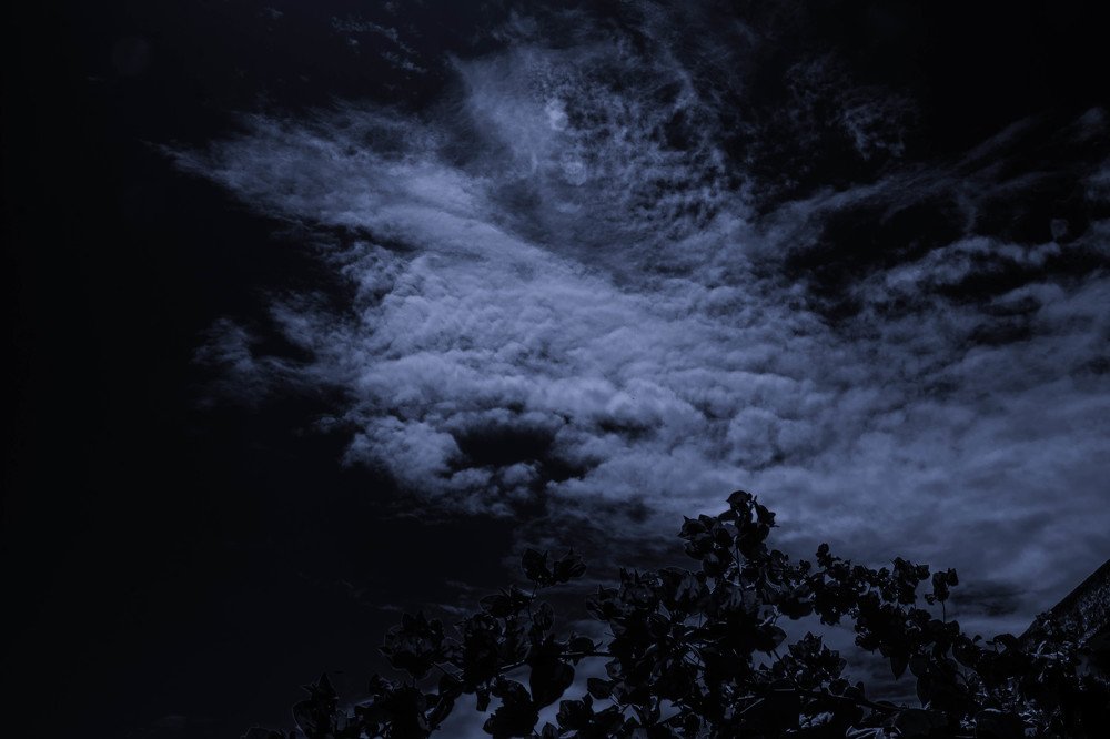 Photograph by Massimo Chiozzi