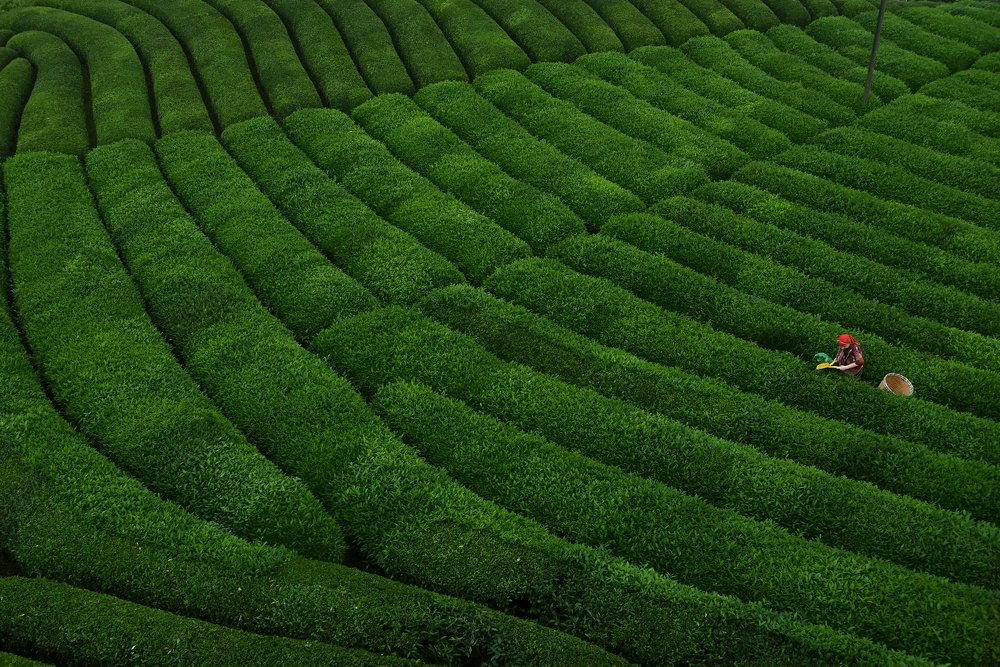 Photograph by AYLIN EROZCAN