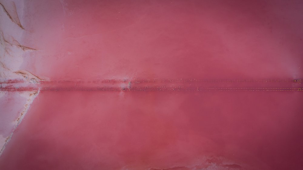Photograph by Богдан Синайский
