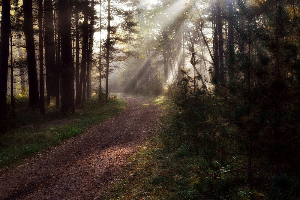 Photograph by Светлана Ковалёнок