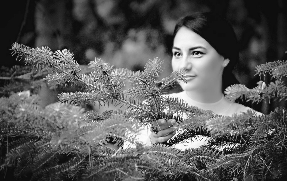 Фотография автора Katerina Georgieva