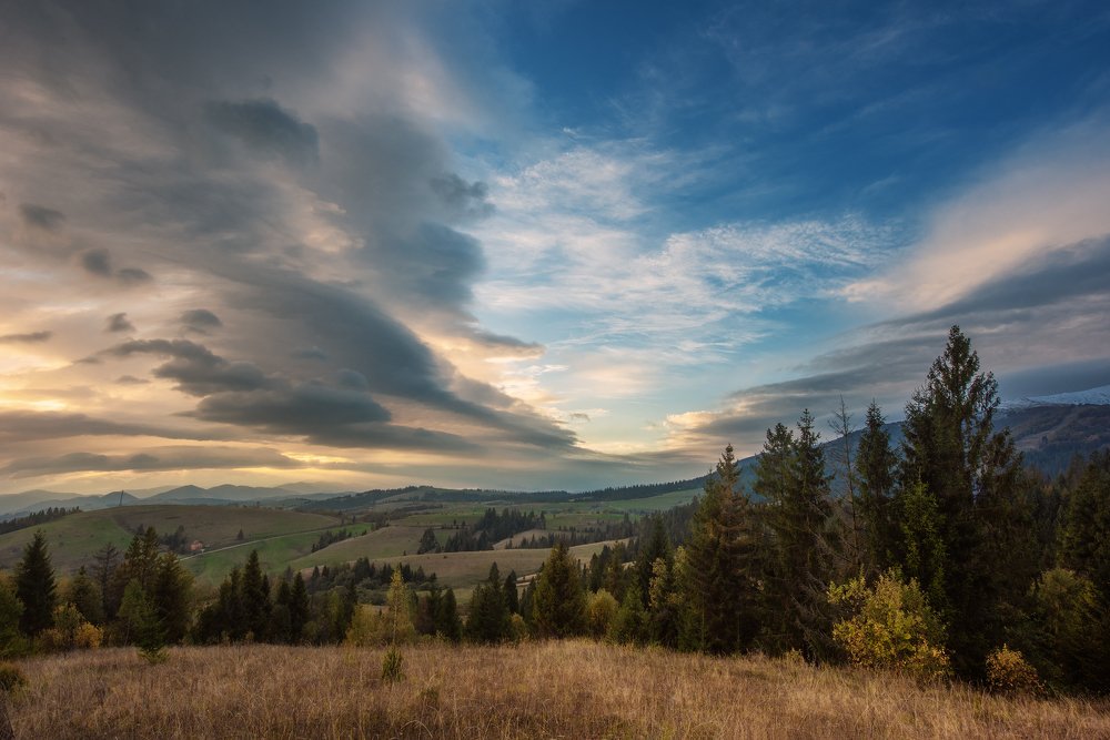 Фотография автора Андрей Жила