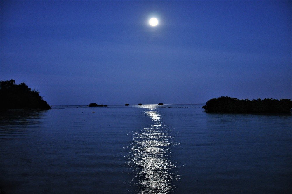 Full Moon Over the Sea