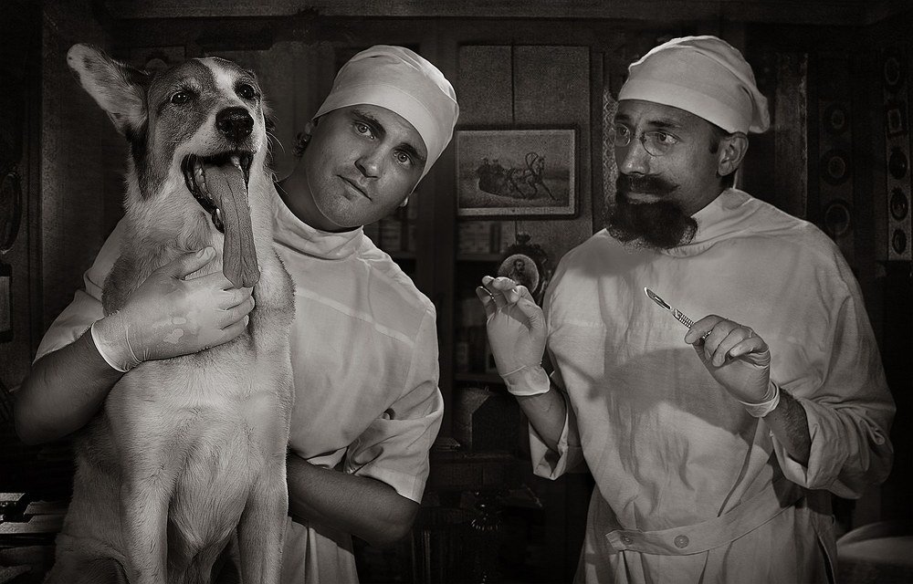 Photograph by Марина Володько