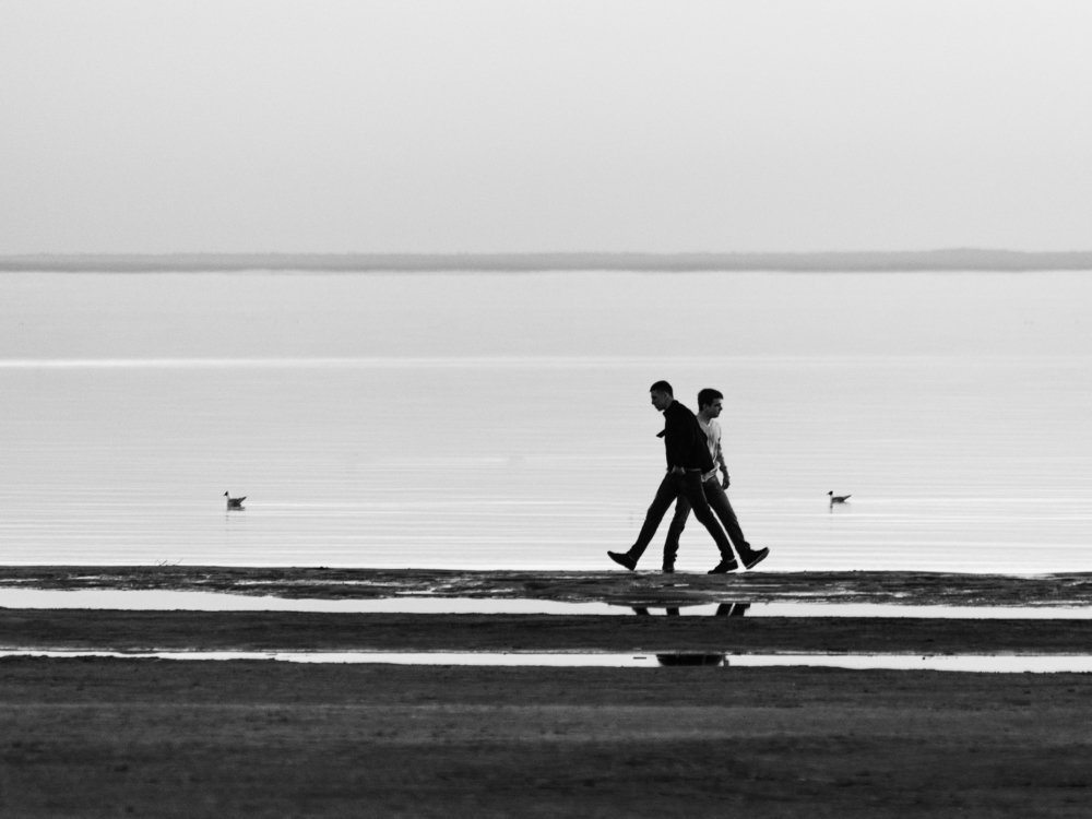 "Тяни-Толкай"